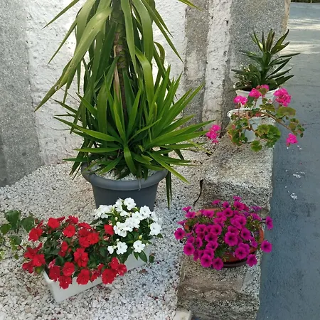 A Chainita Сasa de vacaciones