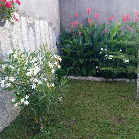 Casa vacanze A Chainita *