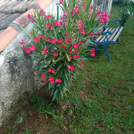 別荘 A Chainita カルダス・デ・レイス