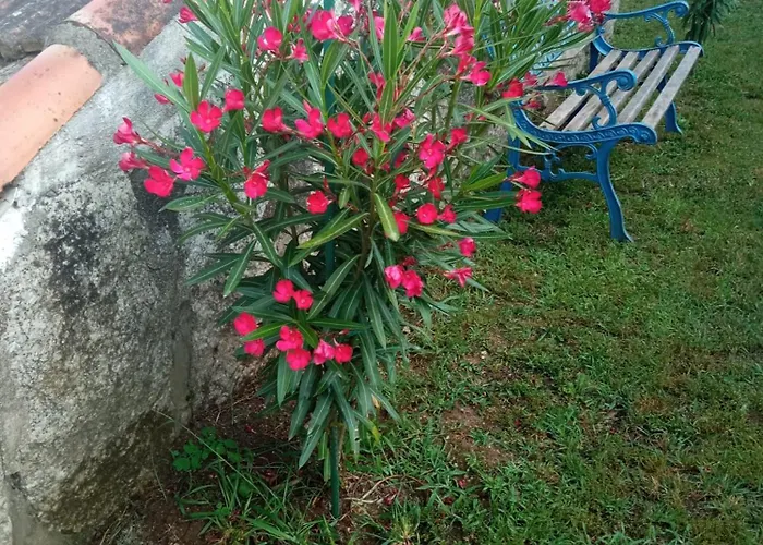 Vakantiehuis A Chainita Caldas De Reis
